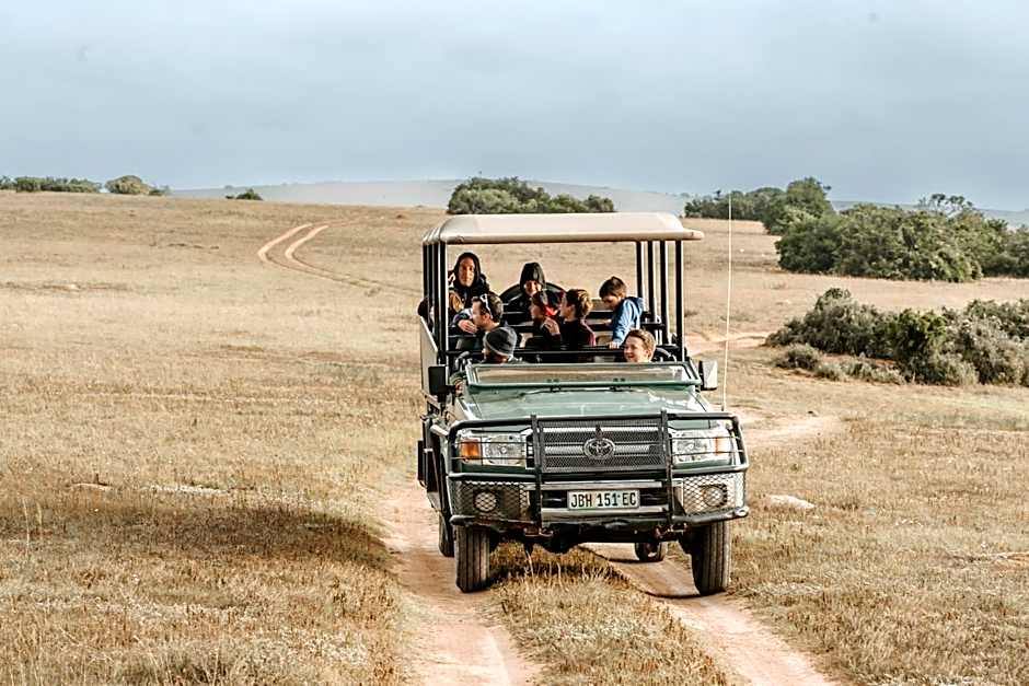 Hlosi Game Lodge - Amakhala Game Reserve