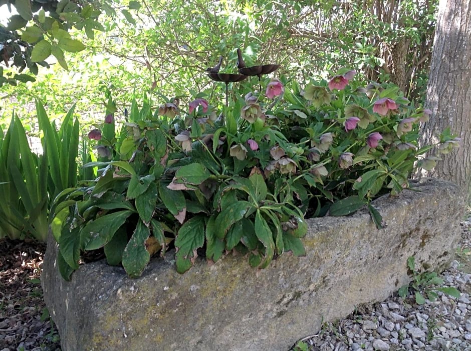 jardin d'antan