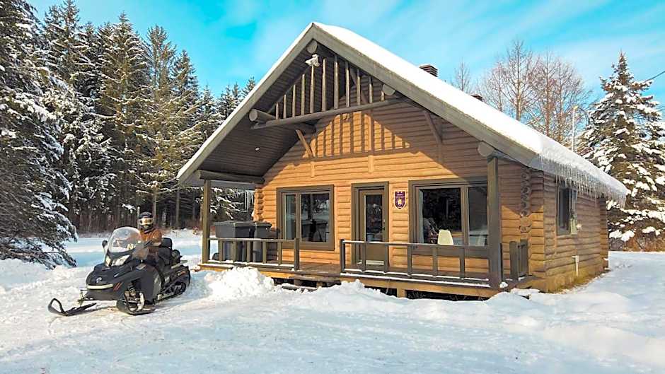 Les Chalets Tourisma - Chalet en bois rond avec spa - Chalet du 4e