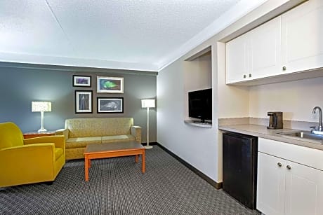 One-Bedroom King Suite - Non-Smoking