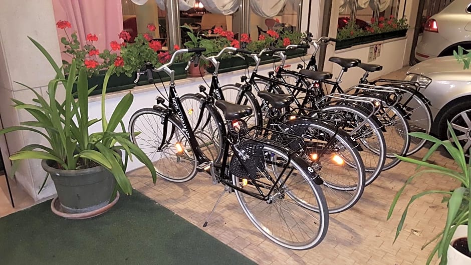 Hotel Aldebaran