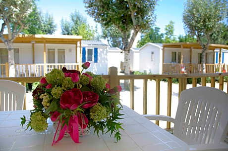 Double Comfort (pet allowed with extra fee)