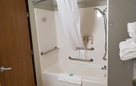 1 Queen Bed Nonsmoking Accessible
