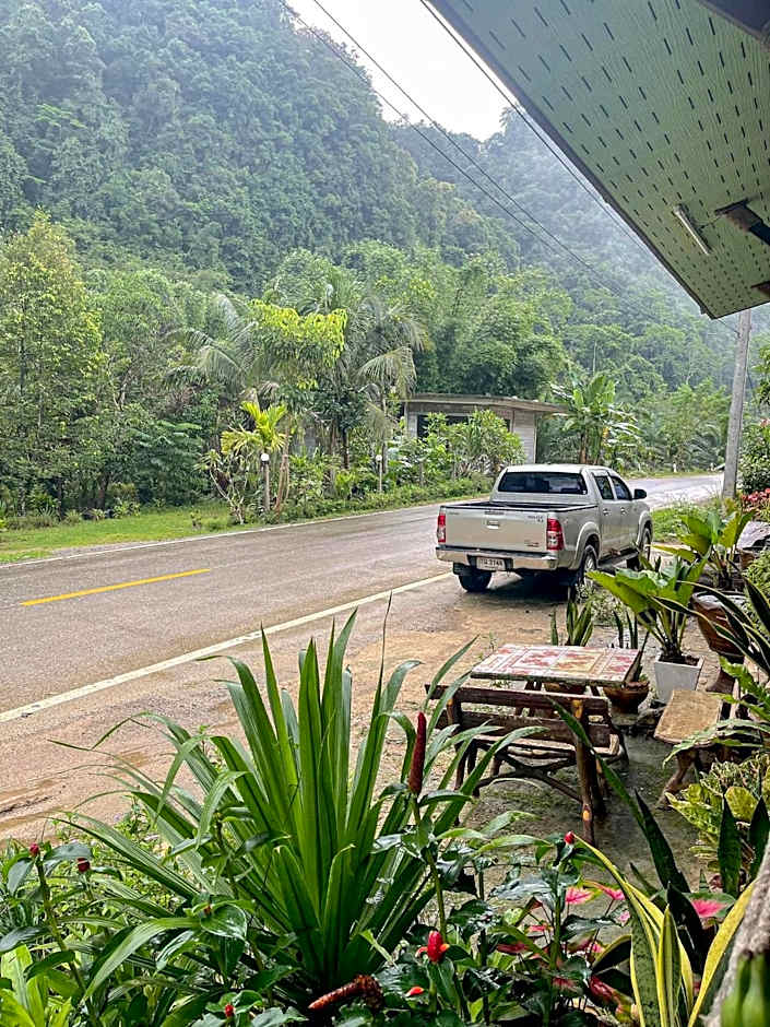 Khao Sok Green Mountain View