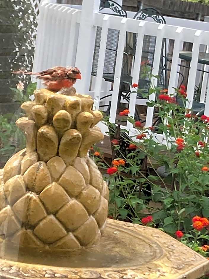 Granbury Gardens Bed and Breakfast