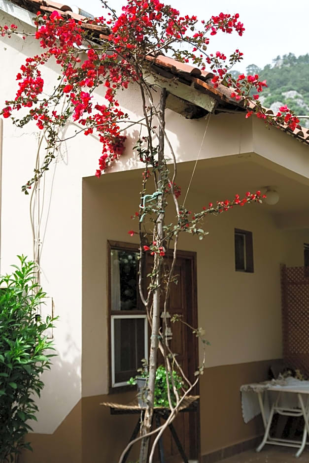 Village Garden Pansiyon