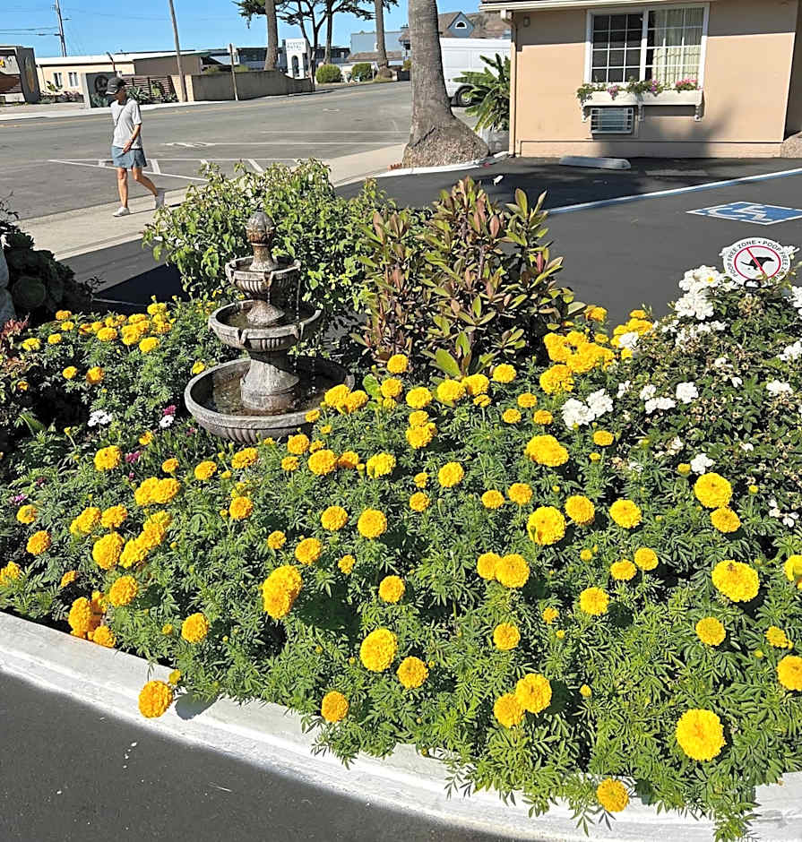 Central Coast Inn Cayucos