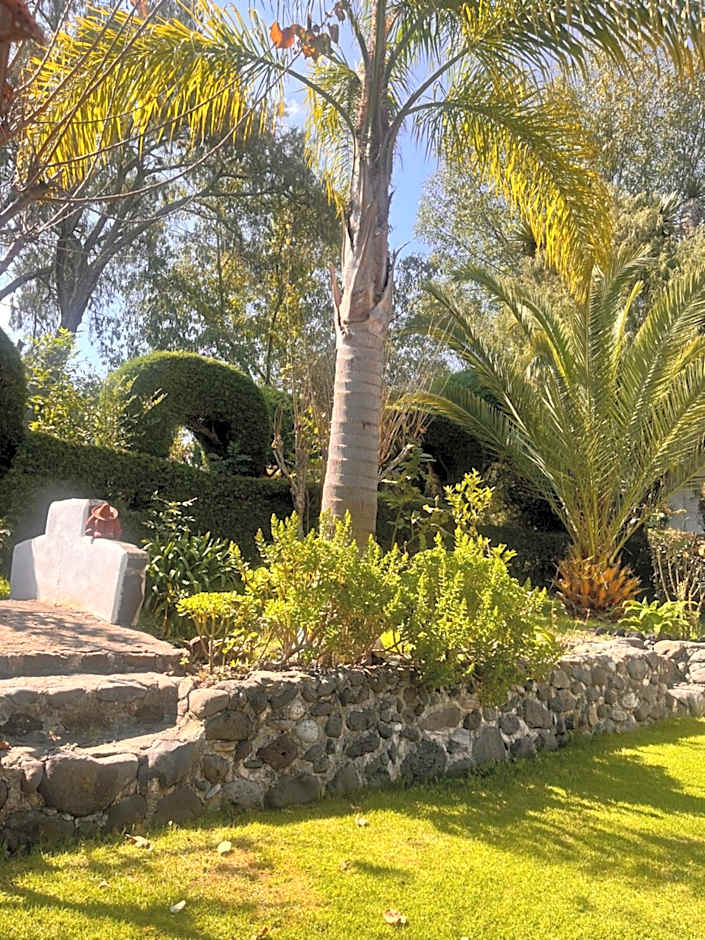 Cabañas Cumbres de Aguacatitla