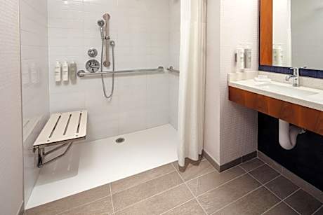 King Room with Roll-In Shower - Mobility Access
