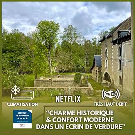 Gite du Meunier, Moulin de Vineuil, 4ch, 2sdb