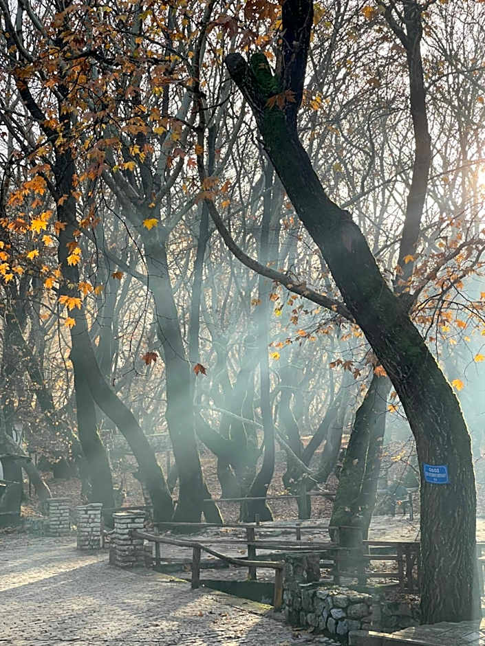 Mountain Hotels "Aroanides"