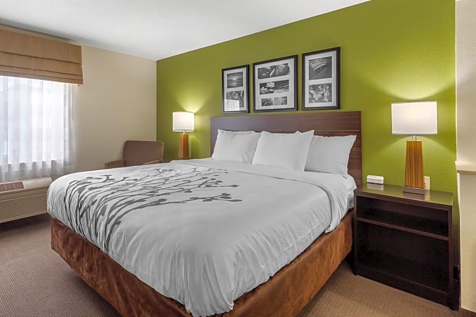 Sleep Inn & Suites Allendale