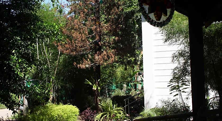 Greenspace Palawan Hotel