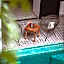 Riad Fabiola Et Spa By La Siredrah