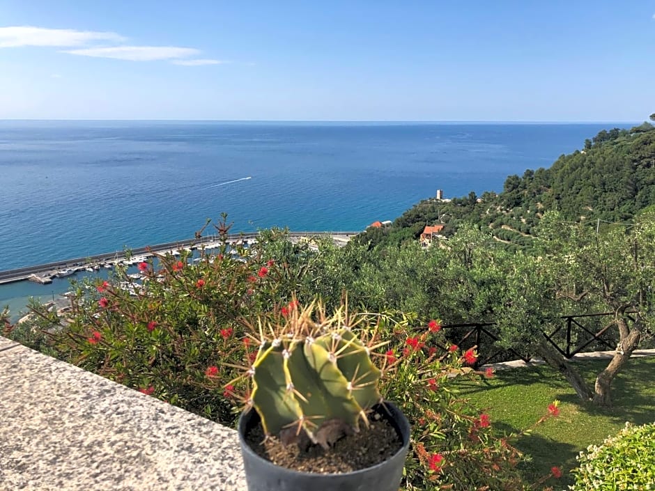 Villa Degli Ulivi B&B