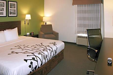 1 King Bed Nonsmoking