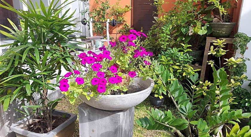 Marine Tourist  Guest House