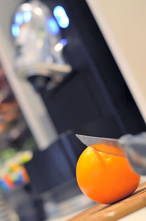 Best Western Dijon Centre Gare