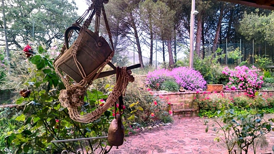 C'era Una Volta B&B