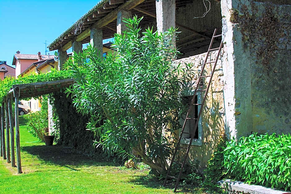 Hotel Belvedere