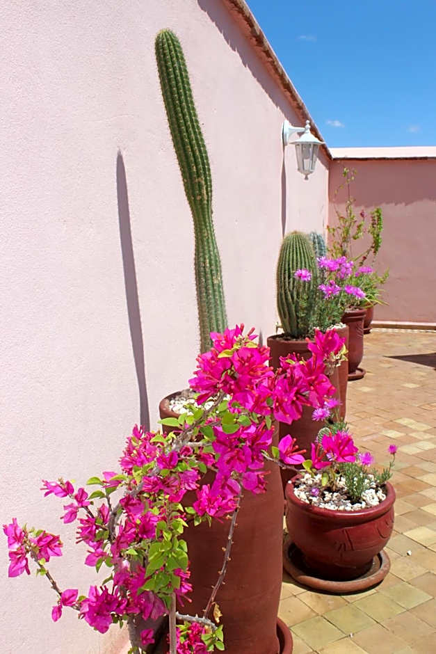 Riad El Arco ROOFTOP POOL & Spa