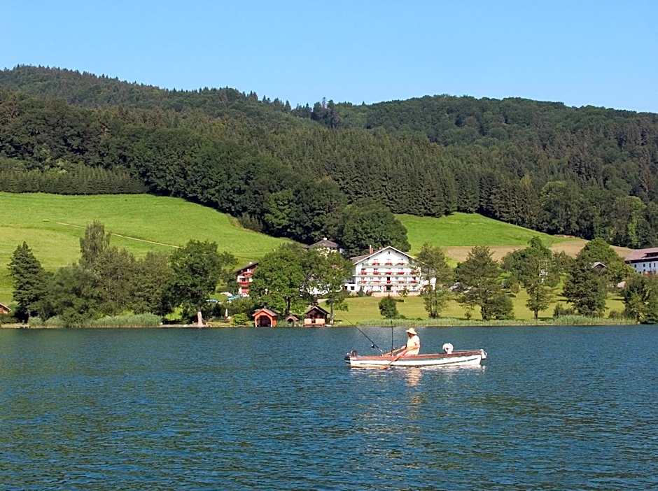 Hotel Garni Dorferwirt am Irrsee