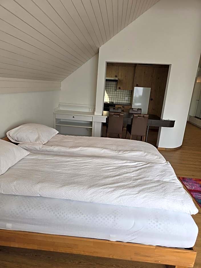 Landgasthof zum Zimmermann Jona - Rapperswil