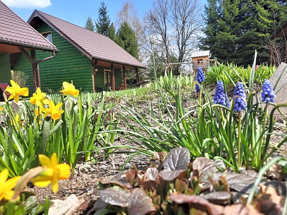 Domki i Apartamenty Rogate Anioły