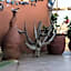 Cerritos Beach Hotel Desert Moon