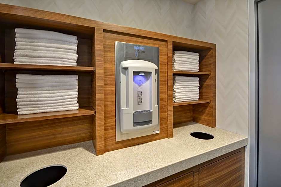 Residence Inn by Marriott New Orleans French Quarter Area/Cen B