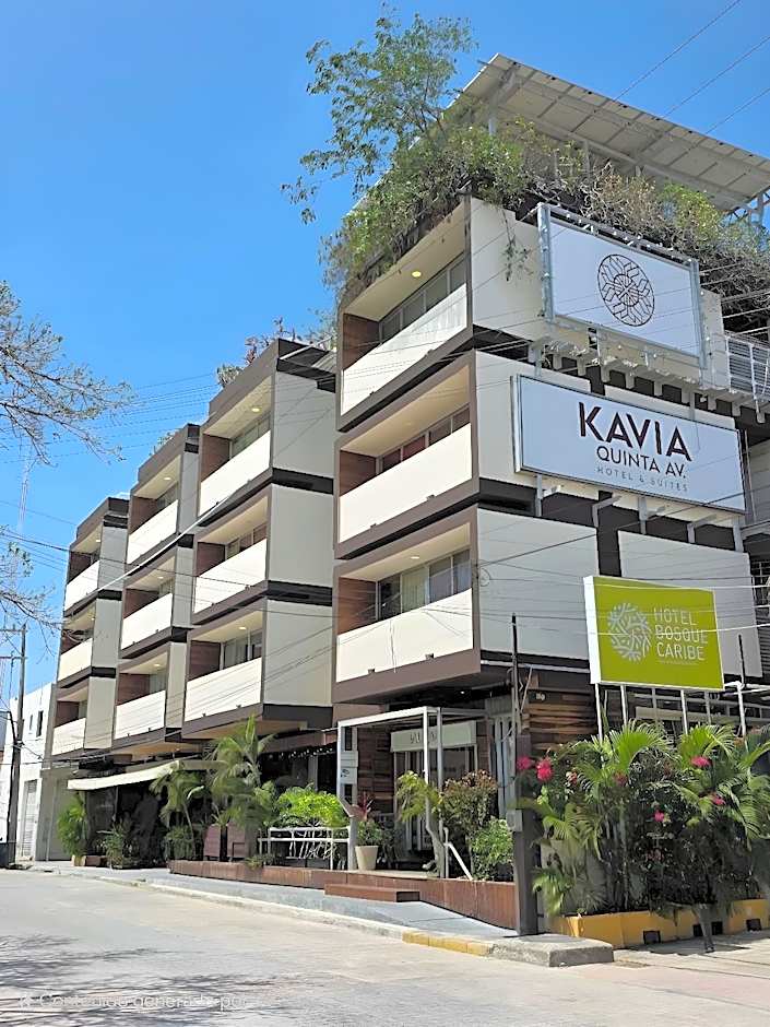 Hotel Kavia 5th Avenida