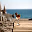Elysee Beach Hotel