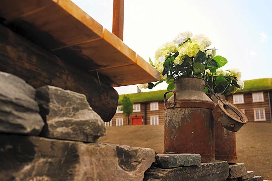 Bjerkeløkkja Bed and Breakfast
