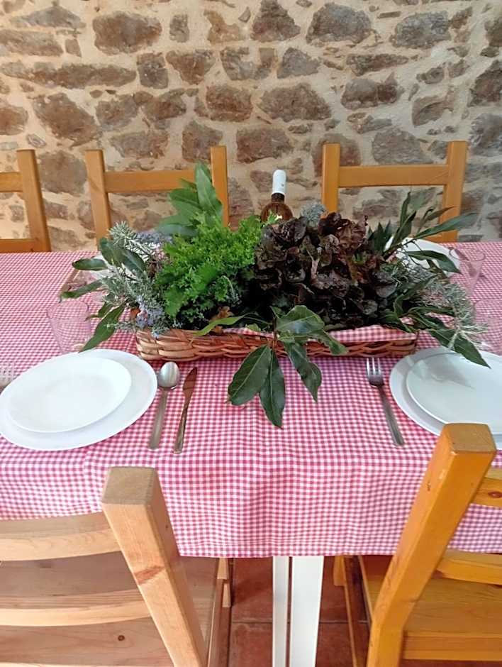 Caserío Areitz Soroa