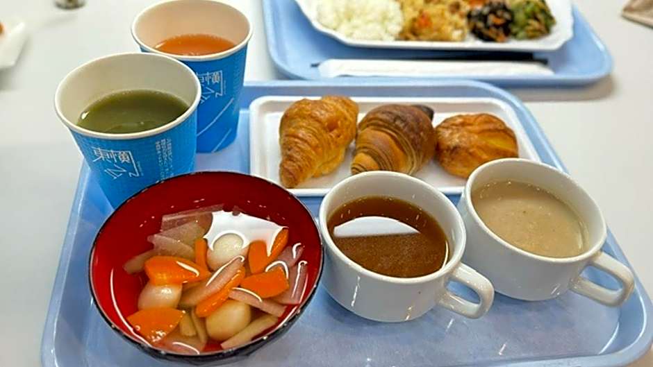 Toyoko Inn Ebina eki Higashi guchi