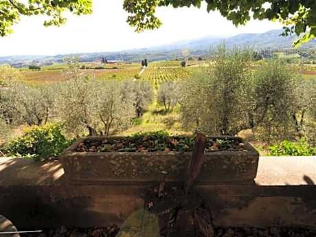 Historic villa near Florence