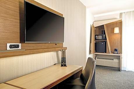Executive, Larger Guest room, 1 King, Sofa bed