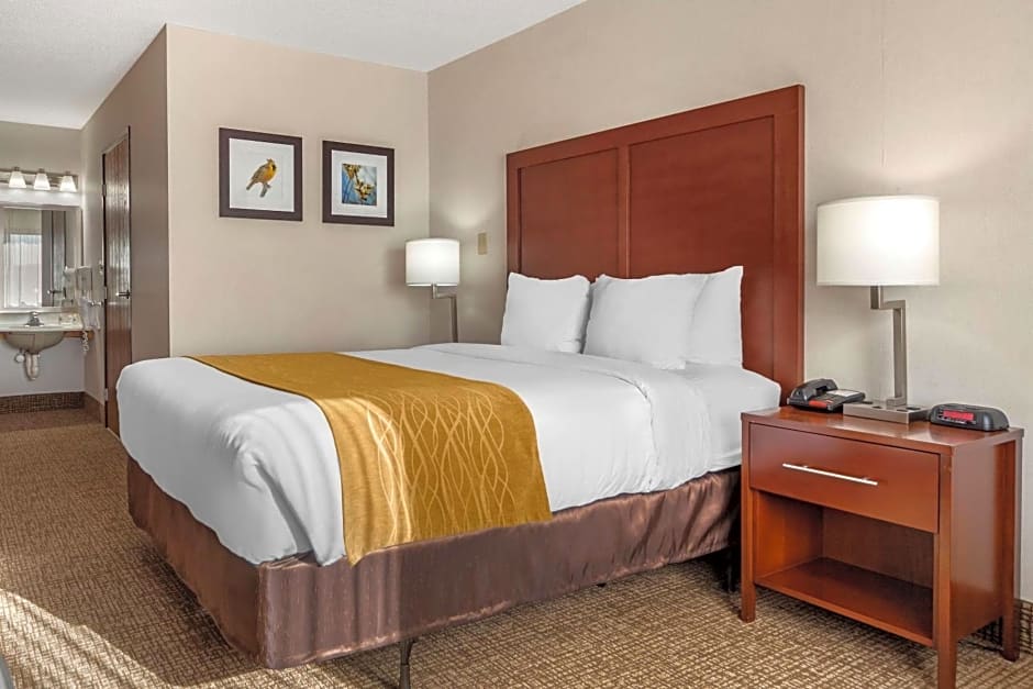 Comfort Inn Grand Island North