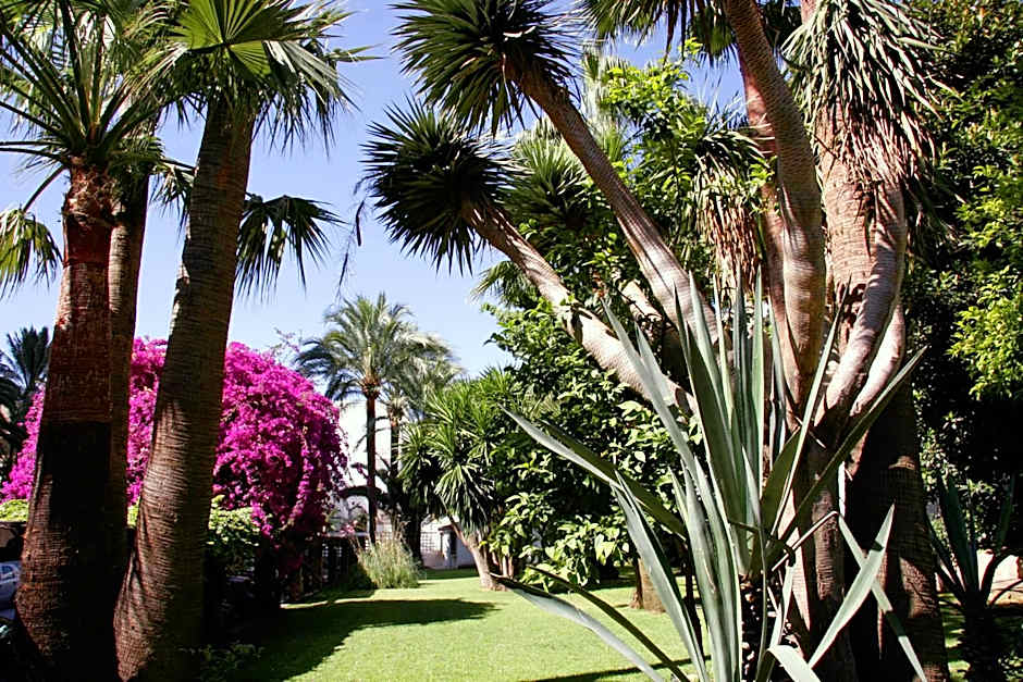 Hotel Apartamentos Bajondillo