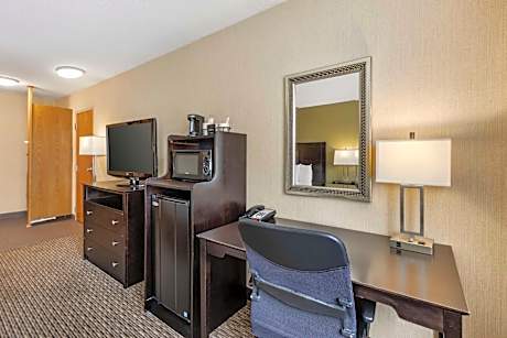 King Room - Pet Friendly/Non-Smoking