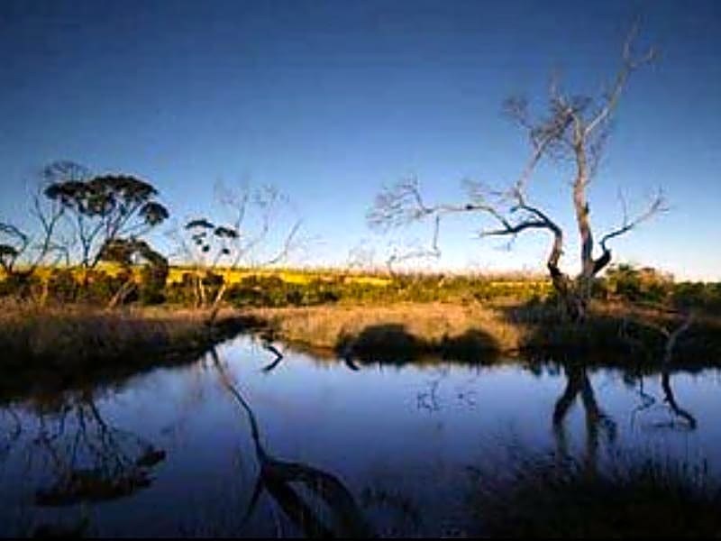 Tanonga Luxury Eco Lodges