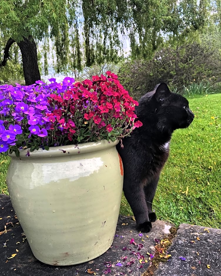 The Bell at Skenfrith