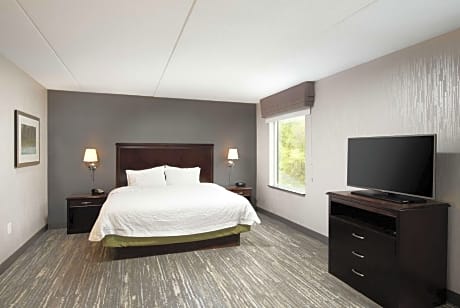 1 KING BED STUDIO SUITE W/ SOFABED NONSMOKING FREE WI-FI/FRIDGE/MICROWV/ WET BAR/HDTV FREE HOT BFAST/HOT BREAKFAST INCLUDED