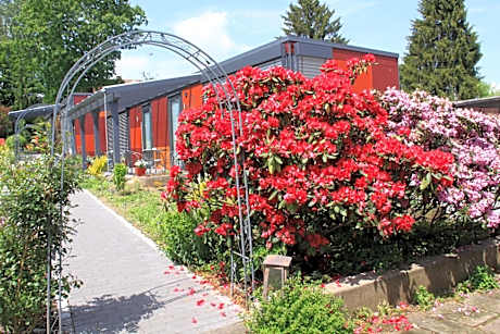 HOTEL SPATZENNEST Vogelsberg