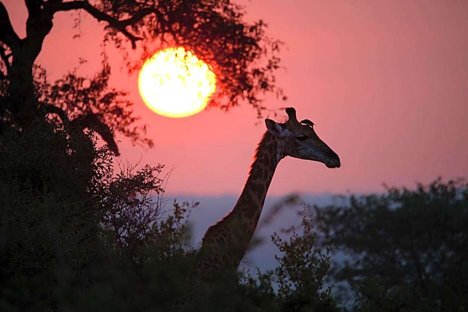 Ivory Wilderness River Rock Lodge