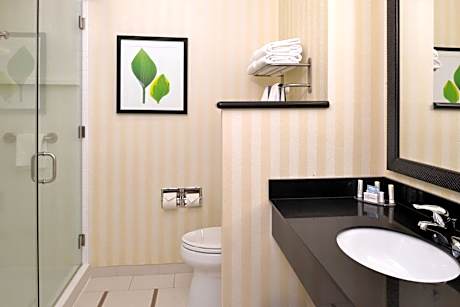 Executive One-Bedroom King Suite with Sofa Bed