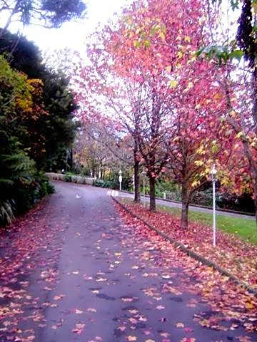 Wallaceville Motor Lodge