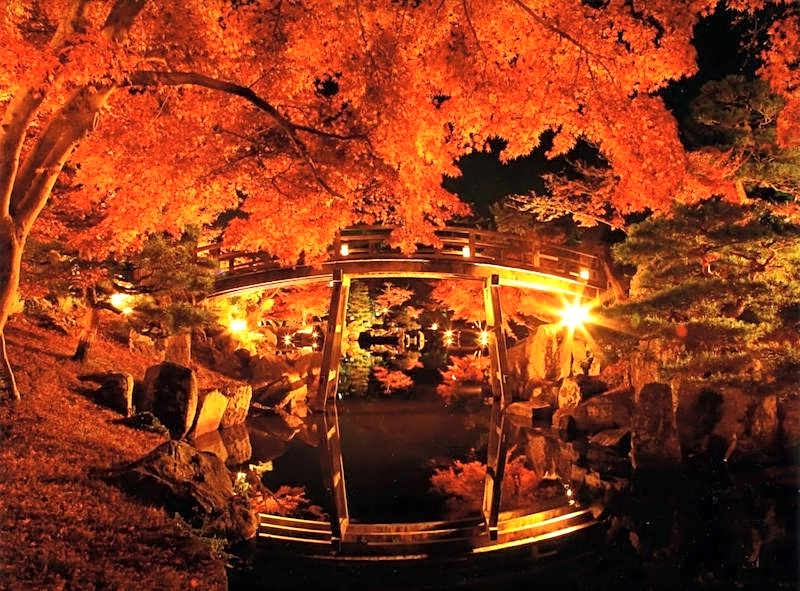 Tobaya Ryokan