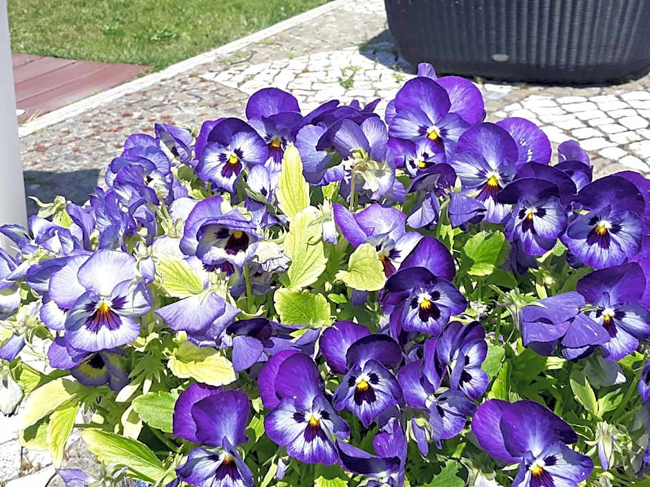 Hotel Dom Vasco Sines