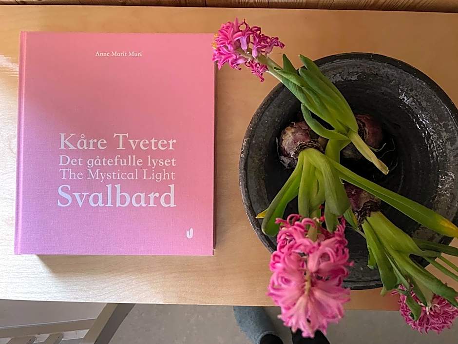 Villa Lofoten - Edvardbua